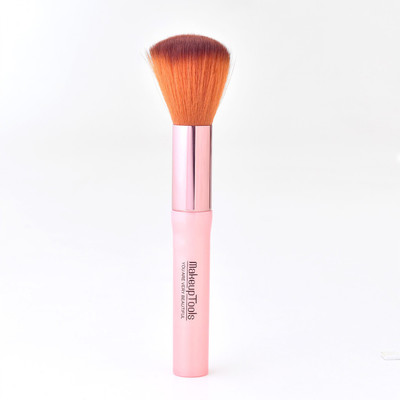 

Styler High Quality Cosmetic Brush(Pack of 1)