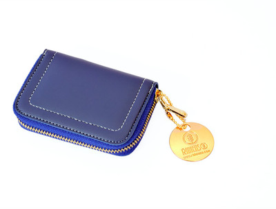

RHHENSO Women Blue Artificial Leather Card Holder(24 Card Slots), Black