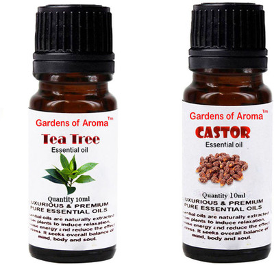 

Gardens Of Aroma Tea Tree And Castor(20 ml)