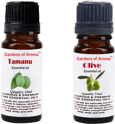 

Gardens Of Aroma Tamanu And Olive(20 ml)