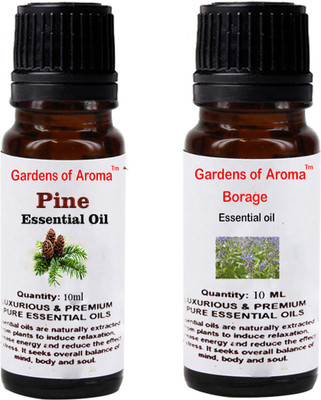 

Gardens Of Aroma Pine And Borage(20 ml)