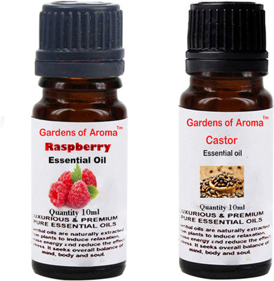 

Gardens Of Aroma Raspberry And Castor(20 ml)
