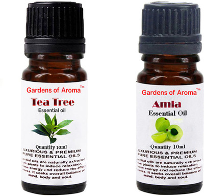 

Gardens Of Aroma Tea Tree And Amla(20 ml)
