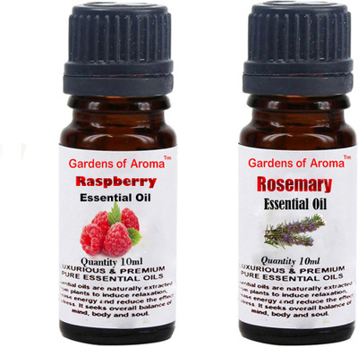 

Gardens Of Aroma Raspberry And Rosemary(20 ml)