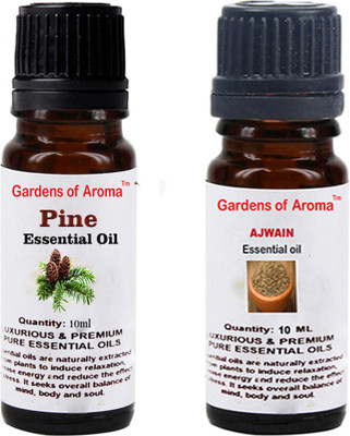 

Gardens Of Aroma Pine And Ajwain(20 ml)