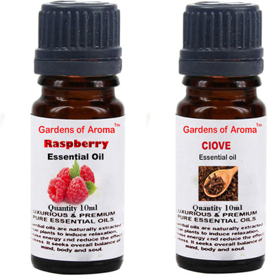 

Gardens Of Aroma Raspberry And Clove(20 ml)