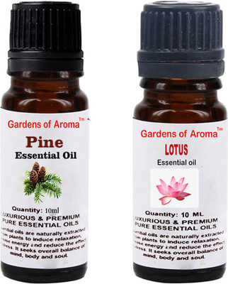 

Gardens Of Aroma Pine And Lotus(20 ml)