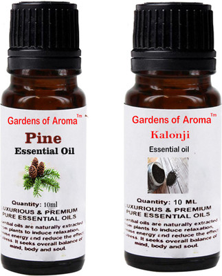 

Gardens Of Aroma Pine And Kalonji(20 ml)