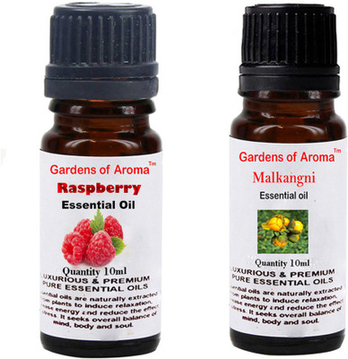 

Gardens Of Aroma Raspberry And Malkangni(20 ml)