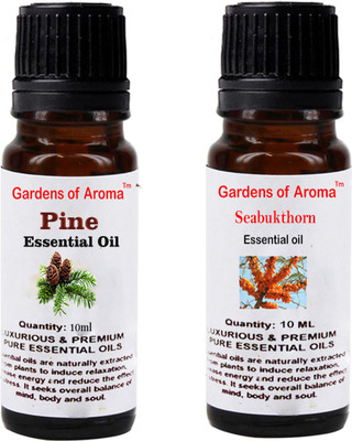 

Gardens Of Aroma Pine And Seabukthorn(20 ml)