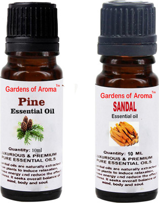 

Gardens Of Aroma Pine And Sandal(20 ml)