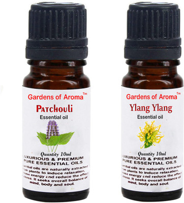 

Gardens Of Aroma patchouli And Ylang Ylang(20 ml)