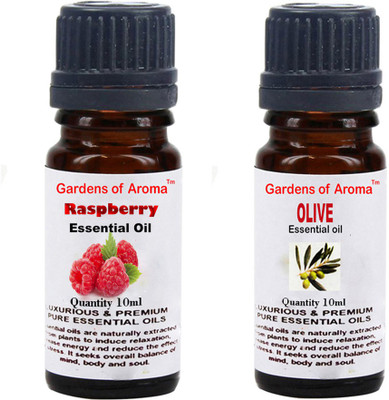 

Gardens Of Aroma Raspberry And Olive(20 ml)