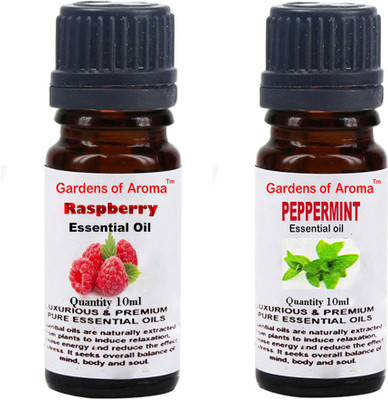 

Gardens Of Aroma Raspberry And Peppermint(20 ml)