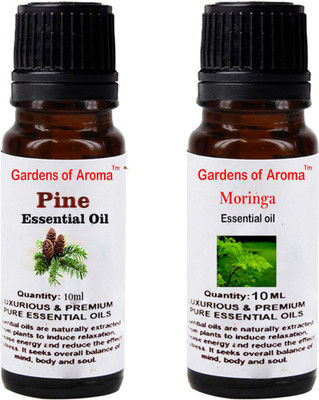 

Gardens Of Aroma Pine And Moringa(20 ml)