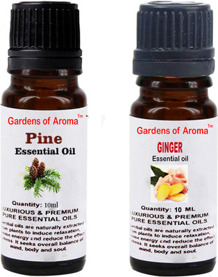 

Gardens Of Aroma Pine And Ginger(20 ml)