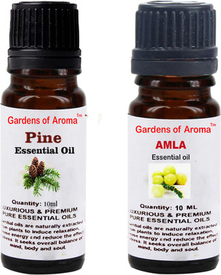 

Gardens Of Aroma Pine And Amla(20 ml)