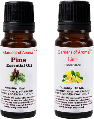 

Gardens Of Aroma Pine And Lime(20 ml)