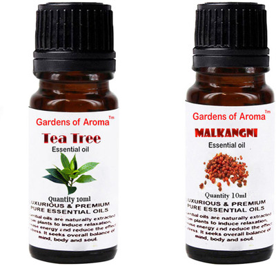 

Gardens Of Aroma Tea Tree And Malkangni(20 ml)