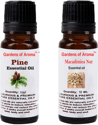 

Gardens Of Aroma Pine And Macadamiea nut(20 ml)