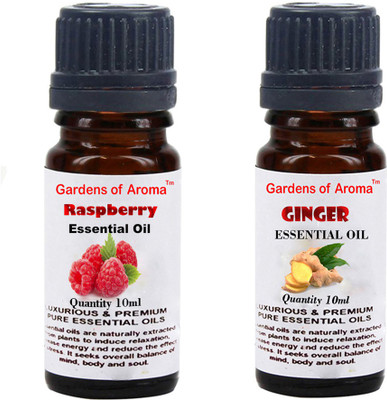 

Gardens Of Aroma Raspberry And Ginger(20 ml)