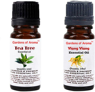 

Gardens Of Aroma Tea Tree And Ylang Ylang(20 ml)