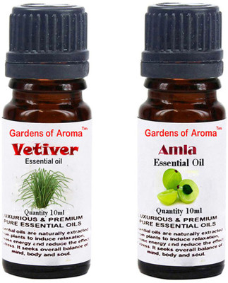 

Gardens Of Aroma Vetiver And Amla(20 ml)