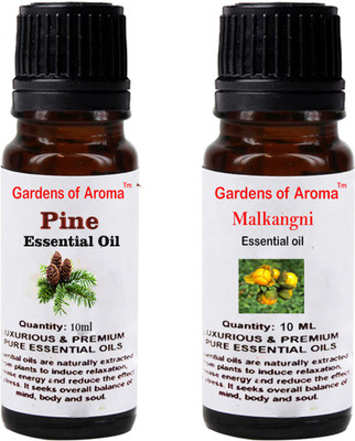 

Gardens Of Aroma Pine And Malkangni(20 ml)