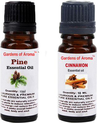 

Gardens Of Aroma Pine And Cinnemon(20 ml)