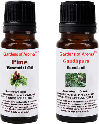 

Gardens Of Aroma Pine And Gandhpura(20 ml)