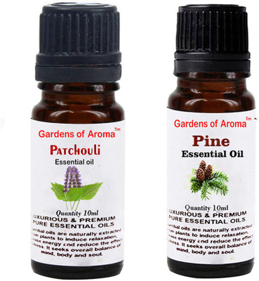 

Gardens Of Aroma patchouli And Pine(20 ml)