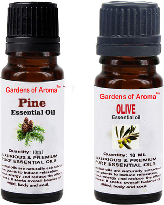 

Gardens Of Aroma Pine And Olive(20 ml)