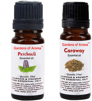 Gardens Of Aroma patchouli And Caraway(20 ml)