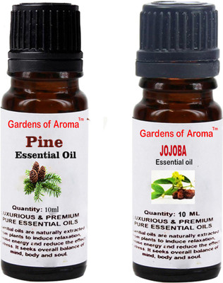 

Gardens Of Aroma Pine And Jojoba(20 ml)