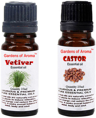 

Gardens Of Aroma Vetiver And Castor(20 ml)
