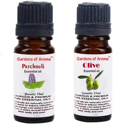 

Gardens Of Aroma patchouli And Olive(20 ml)