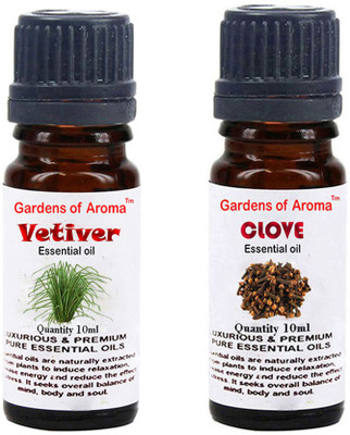 

Gardens Of Aroma Vetiver And Clove(20 ml)