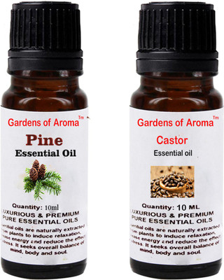 

Gardens Of Aroma Pine And Castor(20 ml)