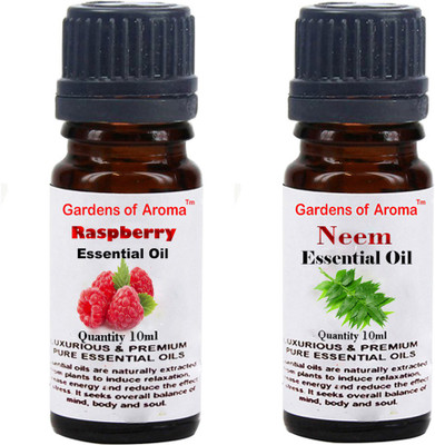 

Gardens Of Aroma Raspberry And Neem(20 ml)