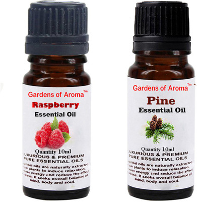 

Gardens Of Aroma Raspberry And Pine(20 ml)