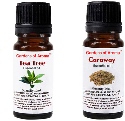 

Gardens Of Aroma Tea Tree And Caraway(20 ml)