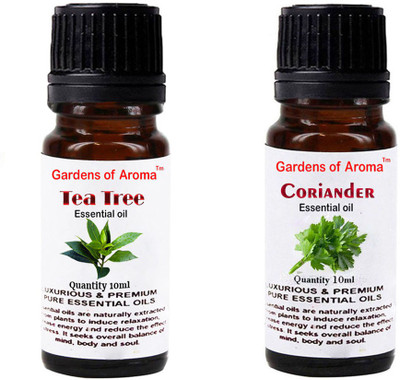 

Gardens Of Aroma Tea Tree And Coriander(20 ml)
