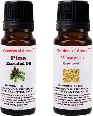 

Gardens Of Aroma Pine And Wheatgerm(20 ml)