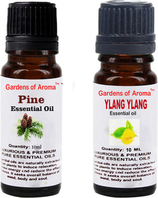 

Gardens Of Aroma Pine And Ylang Ylang(20 ml)