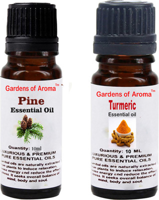 

Gardens Of Aroma Pine And Turmeric(20 ml)