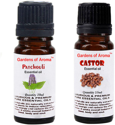 

Gardens Of Aroma patchouli And Castor(20 ml)