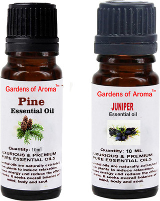 

Gardens Of Aroma Pine And Juniper(20 ml)