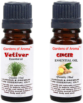 

Gardens Of Aroma Vetiver And Ginger(20 ml)