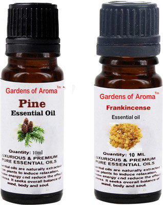 

Gardens Of Aroma Pine And Frankincense(20 ml)