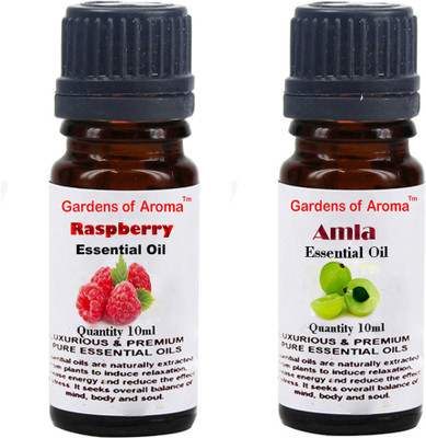 

Gardens Of Aroma Raspberry And Amla(20 ml)